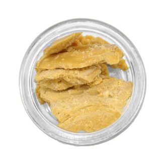 Bob Saget Budder
