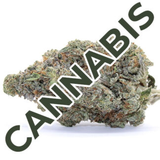 Cannabis