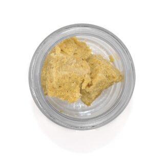 Shark Shock Budder