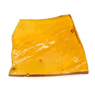 Sugar Black Rose Shatter