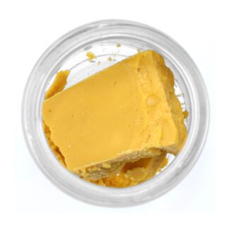 Versace Budder